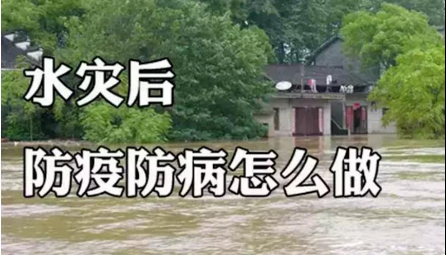 &#51;&#54;&#53;&#19978;&#24066;&#20844;&#21496;&#40;&#33521;&#22269;&#41;&#38598;&#22242;&#45;&#23448;&#26041;&#32593;&#31449;